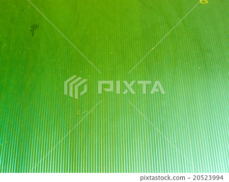 Roof polycarbonate light green color Roof polycarbonate light green color 20523994
