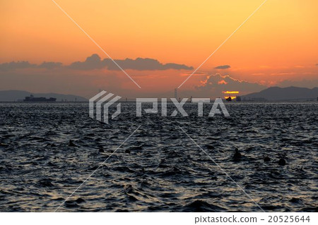 大阪海灣晚上視圖 20525644