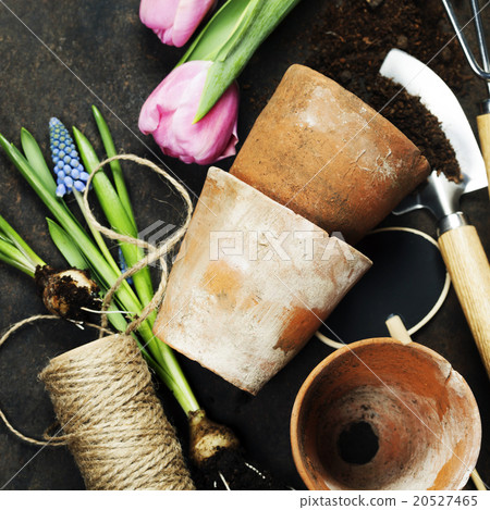 Garden tools Garden tools 20527465