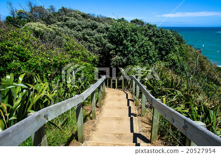Pathway at the Muriwai Regional Park, New Zealand Pathway at the Muriwai Regional Park, New Zealand 20527954