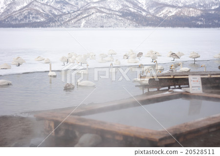 庫薩哈湖冬季(沙水) 庫薩哈湖冬季(沙水) 20528511