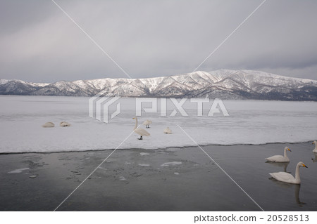 庫薩哈湖冬季(沙水) 庫薩哈湖冬季(沙水) 20528513