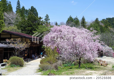 Teahouse at Magokoro Pass Teahouse at Magokoro Pass 20528886