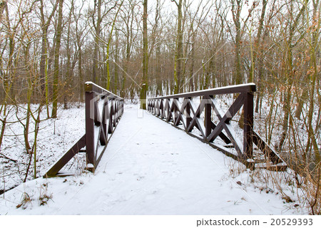 pedestrian bridge in the winter 20529393