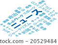 新聞的形象 20529484
