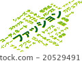 時尚的形象 20529491