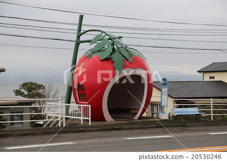 水果巴士站圖片 水果巴士站圖片 20530246