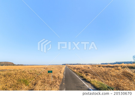 在Seiryuma的循環的道路風景在佐倉市在冬天 在Seiryuma的循環的道路風景在佐倉市在冬天 20530670