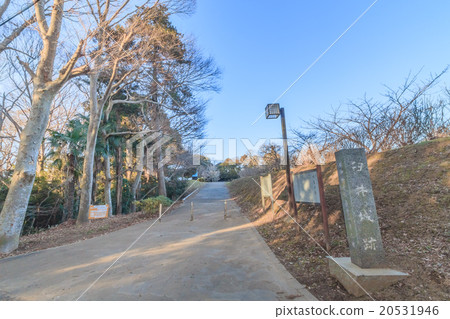 臼井城堡廢墟風景在冬天 20531946