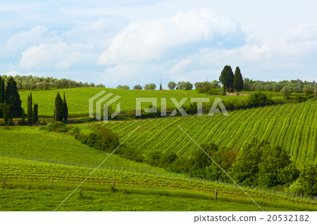 Typical summer rural landscape of Tuscany, Italy 20532182