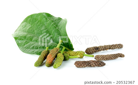 Long pepper isolated on the white background Long pepper isolated on the white background 20532367