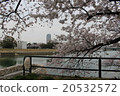 Sakura and Hiroshima city 20532572
