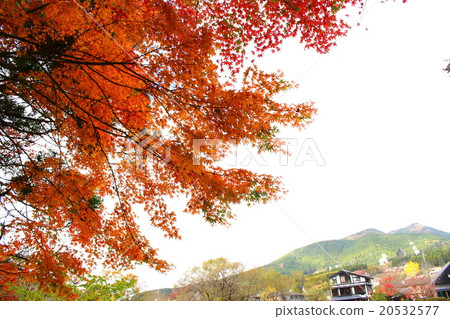 Momiji and the mountain of Yufuin 20532577