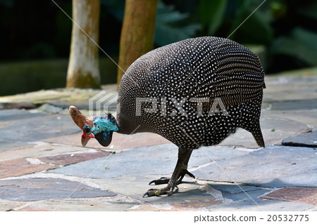 Hollow Hollow butterfly Hollow Hollow butterfly 20532775