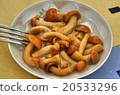 Pickled mushrooms 20533296