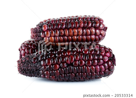 Red corn isolated on the white background 20533314