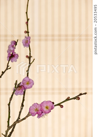 Japanese style flower arrangement plum blossoms Japanese style flower arrangement plum blossoms 20533495