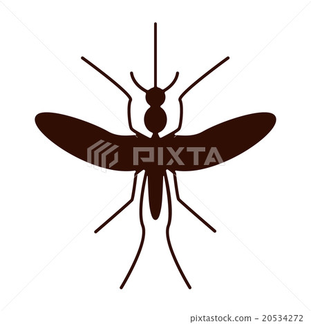Silhouette of mosquito aedes. Zika virus.  20534272