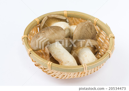 漢離褶傘菇 20534473