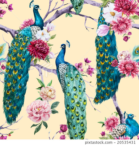 Watercolor peacock and flowers pattern 20535431