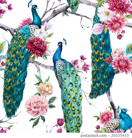 Watercolor peacock and flowers pattern 20535433