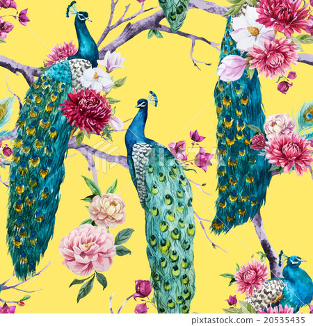 Watercolor peacock and flowers pattern 20535435
