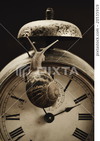 land snail and alarm clock 20535919