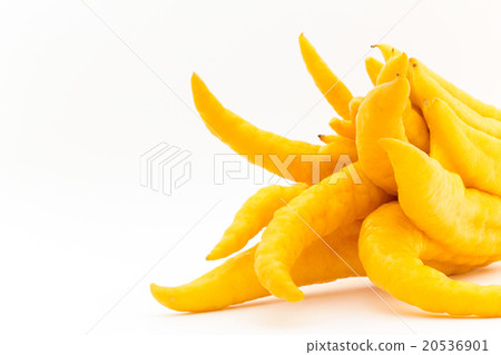 Bush Khan (Buddha's hand): Buddha's hand Bush Khan (Buddha's hand): Buddha's hand 20536901