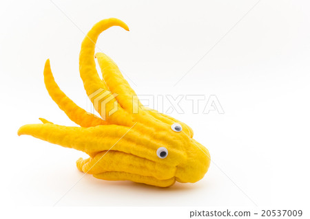 眼球印章·布什康:搖頭眼佛陀的手 眼球印章·布什康:搖頭眼佛陀的手 20537009