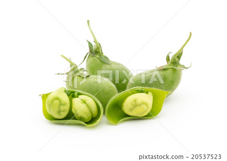 Raw chick pea: Chickpea (Garbanzo bean) 20537523