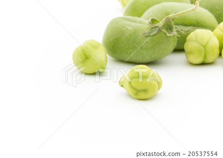 生鷹嘴豆：鷹嘴豆（鷹嘴豆） 20537554