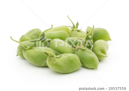 Raw chick pea: Chickpea (Garbanzo bean) Raw chick pea: Chickpea (Garbanzo bean) 20537559