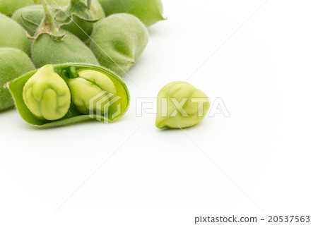 Raw Garbanzo: Chickpea (Garbanzo bean) 20537563