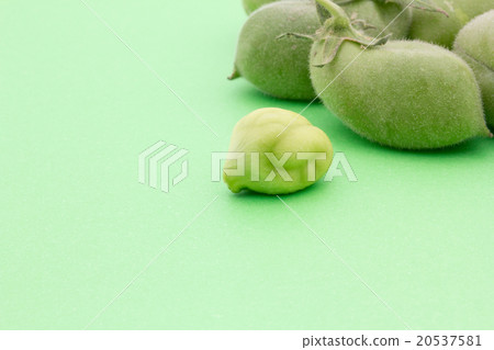 Live chickpea: Chickpea (Garbanzo bean) 20537581