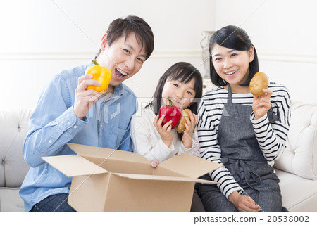 Family lifestyle 20538002
