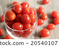  Mini Tomato 20540107