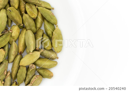 Cardamon: cardamon 20540240