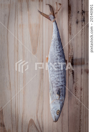 Fish preservation by drying .  20540901