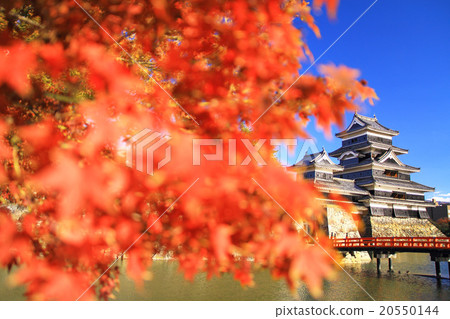 November Nagano Matsumoto Castle · castle tower and autumn leaves 20550144