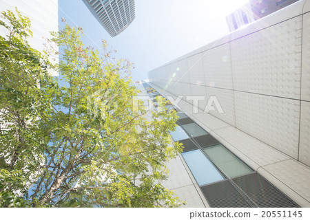 Skyscraper and green 20551145