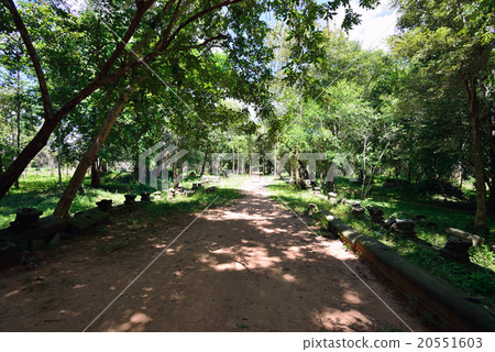 柬埔寨暹粒本梅利亞遺址 20551603