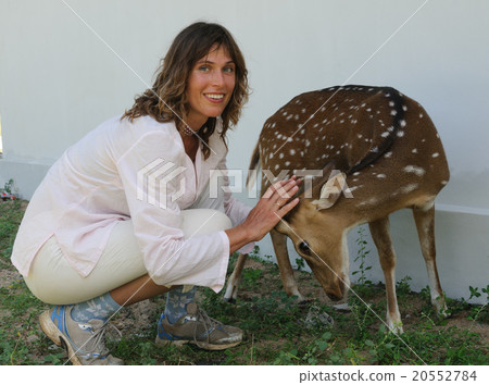 woman strokes deer woman strokes deer 20552784