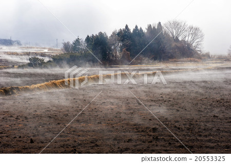 冬季場 20553325