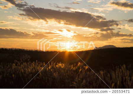 懷舊之情 20553471