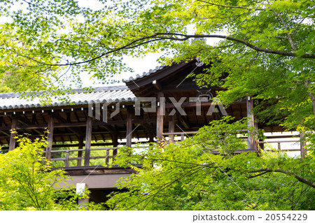 Tofukuji - the fresh green Tonenbashi 20554229