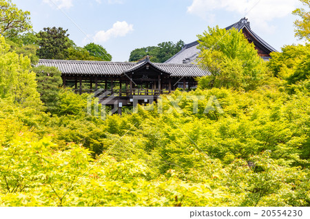 Tofukuji - the fresh green Tonenbashi 20554230