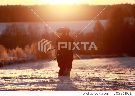 oriental warrior winter sunset oriental warrior winter sunset 20555901