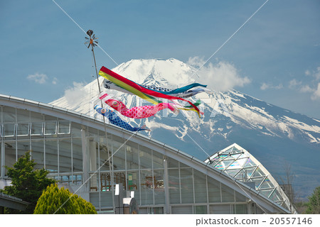 Fuji and swimming carp streamers 20557146