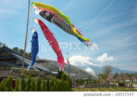 Fuji and swimming carp streamers 20557147