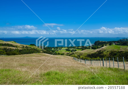 Shakespear Regional Park, Auckland New Zealand Shakespear Regional Park, Auckland New Zealand 20557188